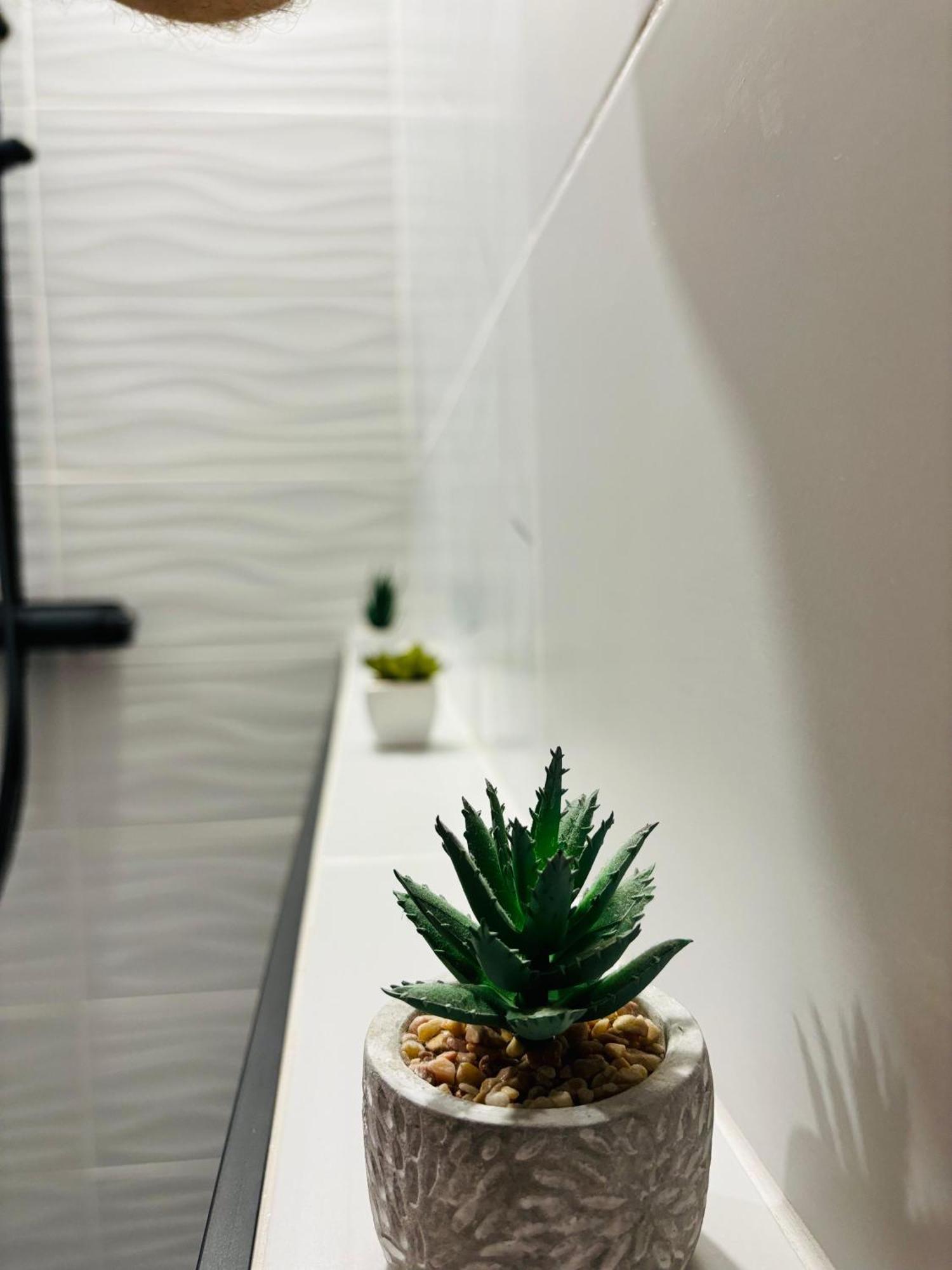 Amos Apartment-Ultracentral-Free Parking Kolozsvár Kültér fotó
